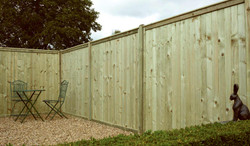 6ft Tongue & Groove Flat Top Fence Panel (1800 x 1800mm) - Pressure Treated Green Timber