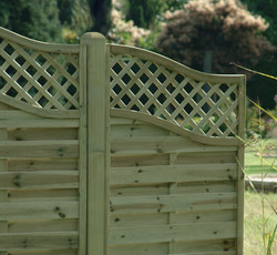 Omega Lattice Top Wing Fence Panel (1600 x 900mm) - Pressure Treated Green Timber