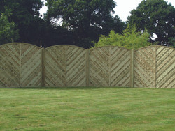 6ft V Arched Madrid Fence Panel (1800 x 1800mm) - Pressure Treated Green Timber