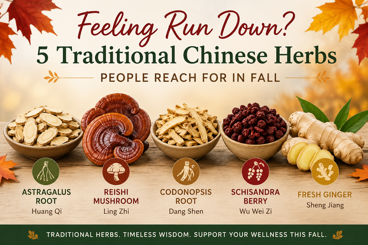 Feeling Run Down? 5 Traditional Chinese Herbs People Reach for in Fall