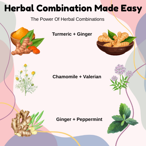 Herbal Healing Made Easy: Combine These Herbs for Holistic Health Support