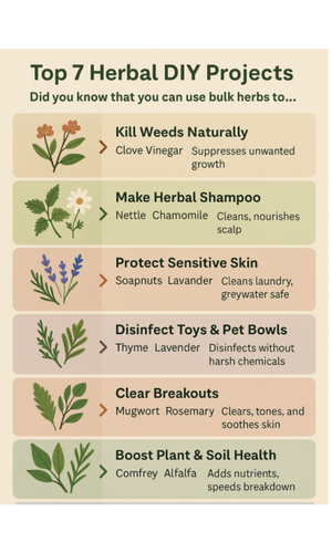  DIY Uses for Bulk Herbs You’ve Never Been Told: From Natural Cleaners to Herbal Shampoos and More