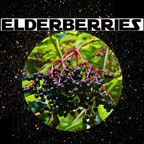 Elderberries and a Disturbance in the Force