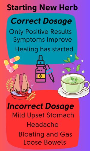 Understanding Herb Dosage
