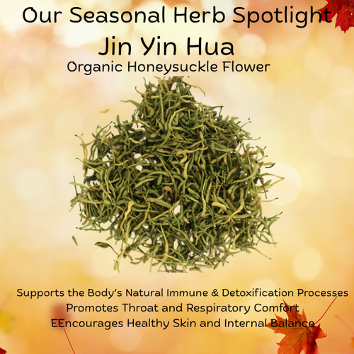 Honeysuckle: Nature’s Cooling Blossom with Deep Healing Potential