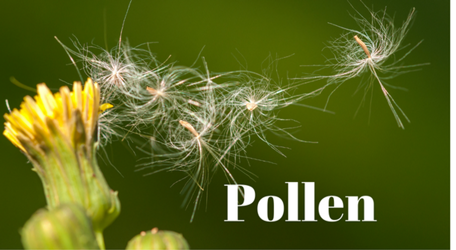 Chinese Teapills for Allergies: A Comprehensive Guide