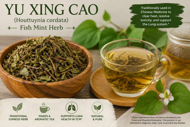 The Herb Nobody Forgets: Why Yu Xing Cao Keeps Showing Up in Lyme Disease, Bartonella, and Chinese Herbal Discussions