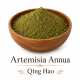 Organic Sweet Annua / Wormwood / Artemisia Annua (Qing Hao) - Powder Form 1 lb - Nuherbs Brand showing the consistency of the powder is fine