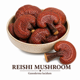 Reishi Mushroom Tea: A cup of Reishi mushroom tea, showcasing the dark, earthy brew known for its immune-boosting and calming properties