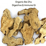 White Atractylodes Rhizome, Atractylodes macrocephala, Sliced Root (Bai Zhu) Nuherbs Organic, cut form 1lb