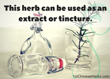 Make a potent tincture or liquid extract for easy dosing.