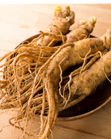 The appearance of ginseng root can vary depending on the species and age of the plant. Generally, ginseng roots are thick, fleshy, and spindle-shaped, resembling the shape of a human body with distinct branches and lateral roots. The size of the root can range from a few centimeters to several centimeters in length, depending on the maturity of the plant