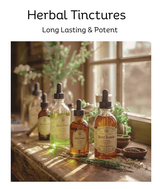 How to make a tincture from Fang Feng
