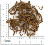 Dang Gui Wei Nuherbs Lab Tested 
Dong Quai is sometimes used as a mild sedative, soothing the nerves and promoting relaxation.