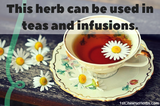 Add to your herbal tea.