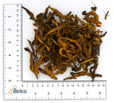 organic You Ji Huang Lian (Coptis chinensis) rhizome on a white background, showcasing the distinctive golden-yellow interior and natural branching rhizome pieces of this premium Nuherbs Chinese herb used in traditional herbal decoctions.