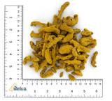 Organic Turmeric (Curcuma longa) 
 It is often used as part of food seasonings for spicy curries and pungent mustards. Like other strong organic spices, turmeric is typically used in a ground form for culinary purposes.