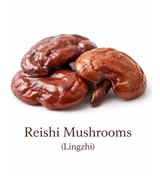 Reishi Mushrooms In powder Form.   Easy to make your own capsules from