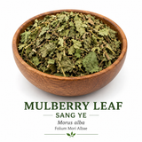 Mulberry Leaf, Also known as Sang Ye, Authenicate herb by Plum Flower