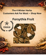Forsythia Fruit Premium Grade
