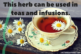 Use in herbal teas.
