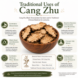 An infographic of the traditional benefits of Cang Zhu