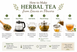 Step-by-step herbal tea preparation guide showing how to brew dried leaf or flower herbs by measuring the herbs, heating water, steeping, straining, and serving the finished herbal tea.