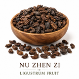 Nu Zhen Zi (Ligustrum Fruit) displayed in an elegant wooden bowl on a white background, featuring whole dried Ligustrum lucidum fruits with the names "Nu Zhen Zi" and "Ligustrum Fruit" beneath the bowl.