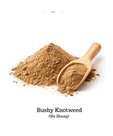 Hu Zhang Powder, also known as Bushy Knotweed.   Easy to make your own capsules