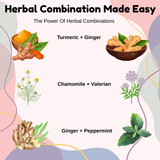 Herbal Healing Made Easy: Combine These Herbs for Holistic Health Support