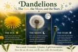 Dandelions are the Sun, the Moon, and the Stars