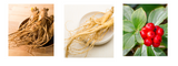 Unveiled The Secrets: White Ginseng vs. Red Ginseng 