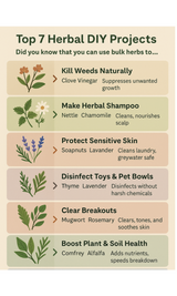 DIY Uses for Bulk Herbs You’ve Never Been Told: From Natural Cleaners to Herbal Shampoos and More