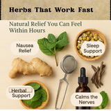 Herbs That Work Fast: Natural Remedies You Can Feel Within Hours