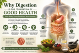 Why Digestion Is The Foundation Of Good Health