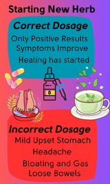 Understanding Herb Dosage