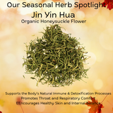 Honeysuckle: Nature’s Cooling Blossom with Deep Healing Potential