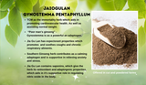 Jiaogulan (Gynostemma pentaphyllum): The Ultimate Guide to the “Immortality Herb