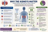 Why Kidney Health Matters