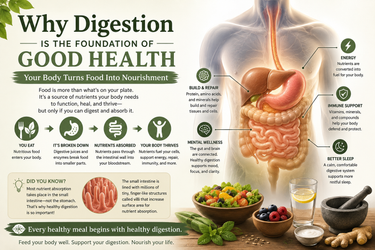 Why Digestion Is The Foundation Of Good Health