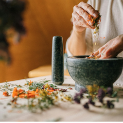 The 10 Most Overlooked Chinese Herbs That Could Dramatically Improve Your Wellness — And Why No One Is Talking About Them