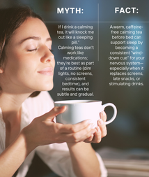 Sleep Help Hub • Insomnia • Night Owl Schedule • Wake Up Tired