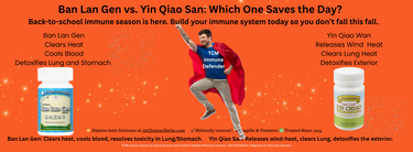 Ban Lan Gen vs. Yin Qiao San: Which Herbal Hero Belongs in Your Cold Season Toolkit?