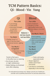 Chinese Herbs Explained: What They Are, How They Work, and How to Choose a Trusted Source Online