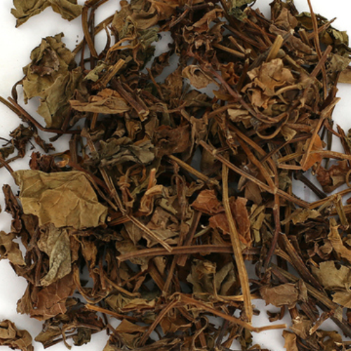 Houttuynia (Yu Xing Cao) - Fishy Smelling Herb