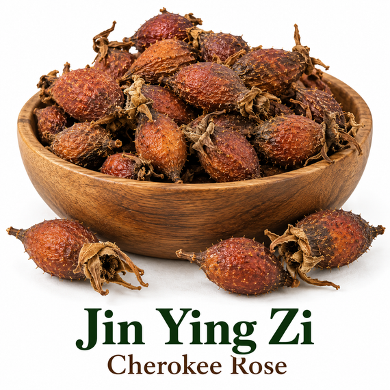 Whole dried Jin Ying Zi (Cherokee Rose Fruit), Rosa laevigata, displayed in a wooden bowl on a white background.