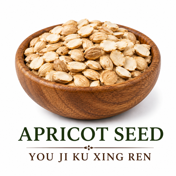 Organic apricot seed Xing Ren no skin  Traditional Chinese Herb