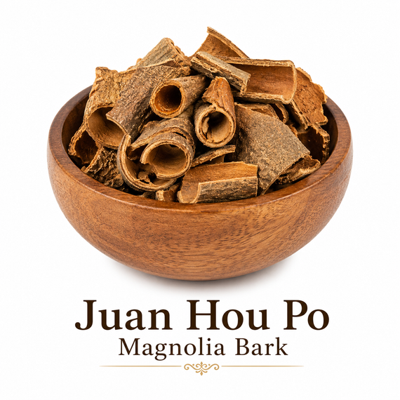 Magnolia Tree Bark in Bulk Cut Form: Traditional cut Magnolia Bark prepared from Magnolia officinalis, offering an authentic botanical ideal for decoctions and other classic herbal preparations. Naturally occurring plant compounds, including magnolol and honokiol, contribute to ongoing scientific interest in this remarkable botanical.