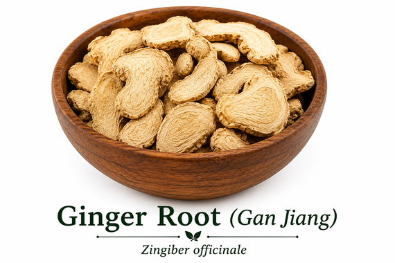 Ginger root slices Organic by Nuherbs