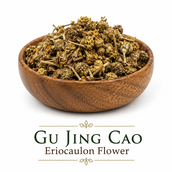 Gu Jing Cao (Eriocaulon Flower) displayed in an elegant wooden bowl on a white background, showcasing whole dried flower heads and stems used in Traditional Chinese herbal practice.